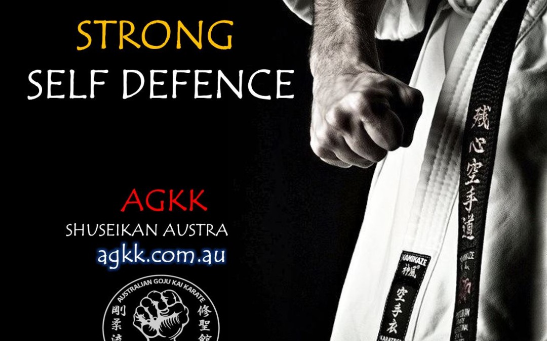Teaching Goju Ryu Karate and Self Defence in Brisbane for men, women, children, families and Businesses.