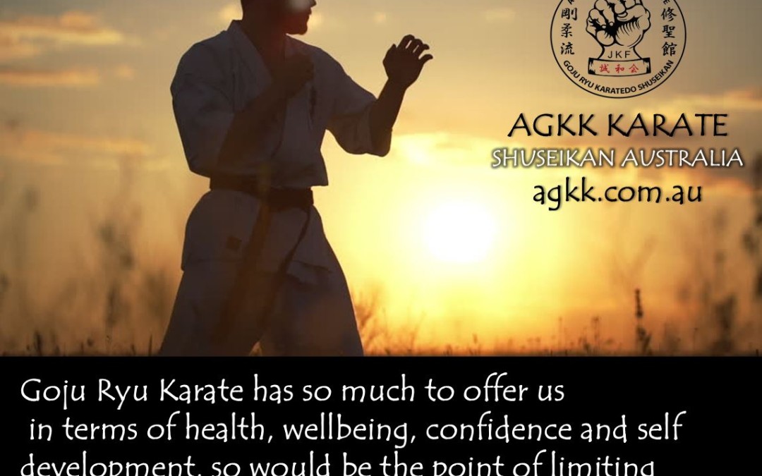 Training in Karate and martial arts in Brisbane will see an improvement in other areas of life.