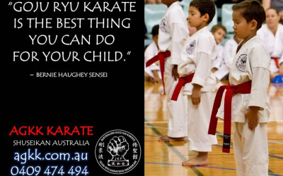 Goju Ryu Karate is the best thing you can do for your child