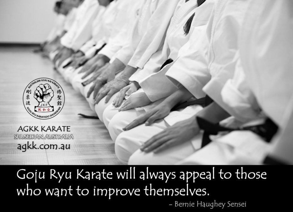 Self Defence and Goju Ryu Karate classes